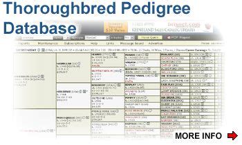 perform horse pedigree|thoroughbred horse pedigree maintenance.